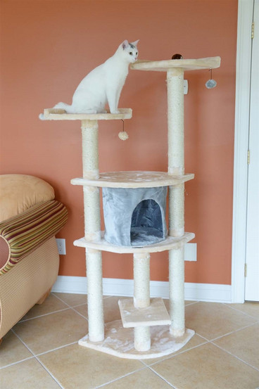 64 Inch Cat Tree