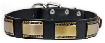 D&T Brass Style Collar