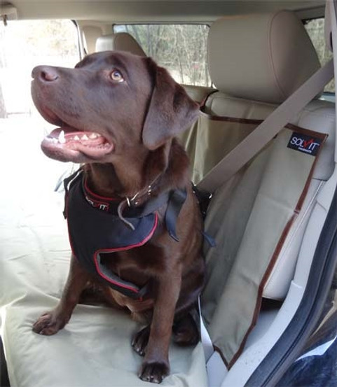 Bench Style Rear Seat Cover