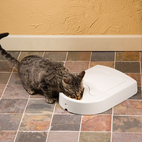 PetSafe 5-Meal Feeder