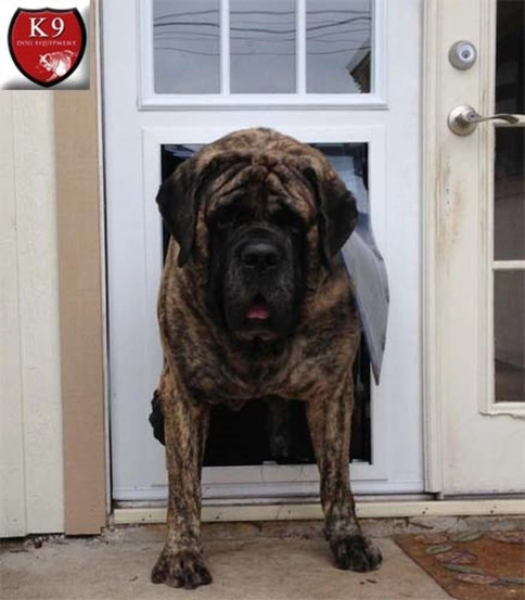 Custom MaxSeal Door Mount