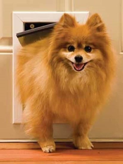 Petsafe Freedom with Universal Wall Kit