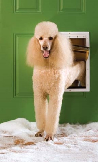 Petsafe Extreme Weather