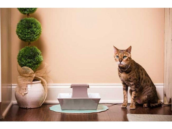 Drinkwell Pagoda Fountain