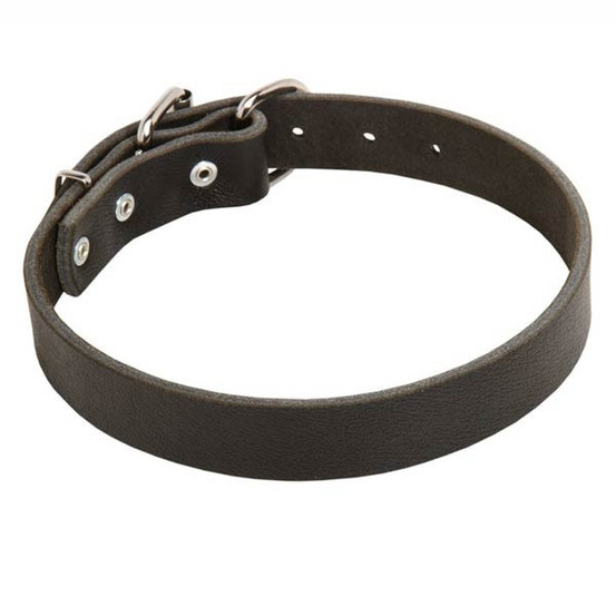 Extra Wide Leather K9 Collar