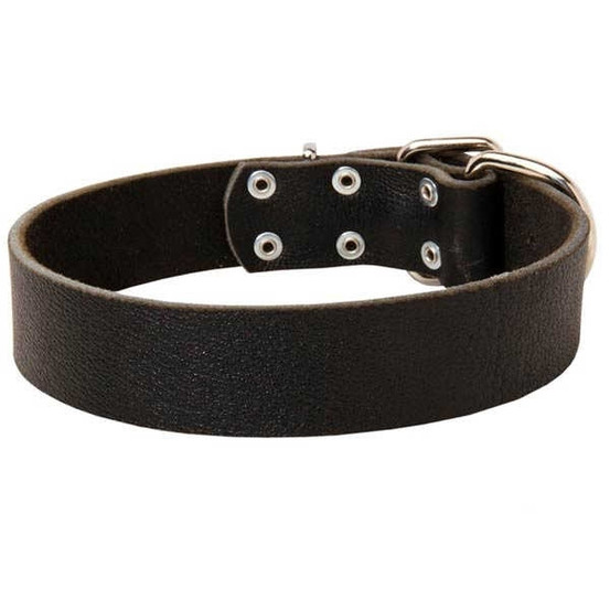 Super Wide Leather K9 Collar