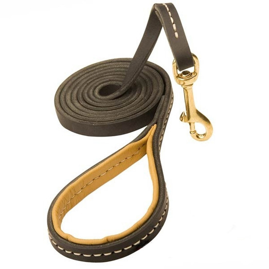 Chic Leather K9 Leash