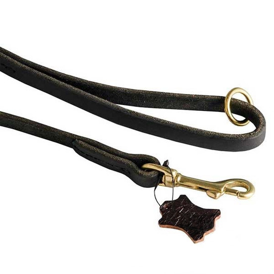 Multifunctional Leather Leash