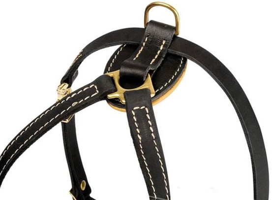 Decorated Leather K9 Harness for Puppies & Small Breeds