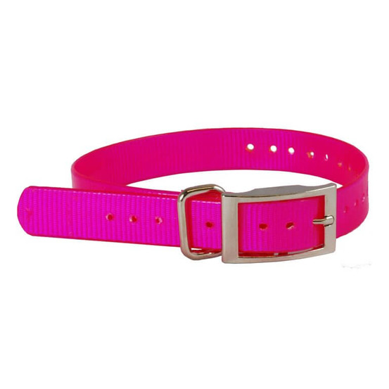 The Buzzard’s Roost Replacement Collar Strap 1"