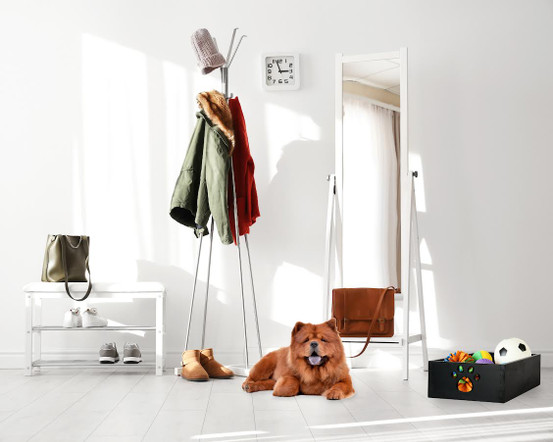 Dynamic Accents - Toy Box By Sarah