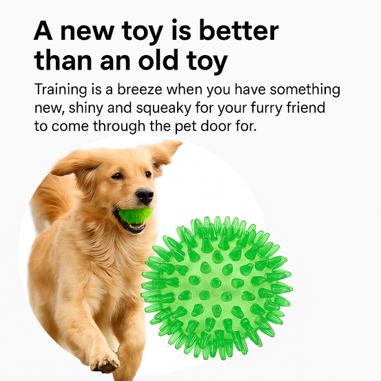 MaxSeal PRO Pet Door for Walls - PLUS++