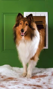 The 4 Best Dog Doors For Winter The 4 Best Dog Doors For Winter