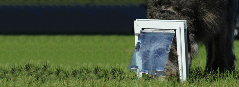 Common Pet Door Installation Mistakes (And How to Avoid Them)