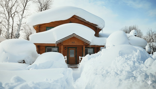 Why Every Dog Owner Should Consider an Insulated Pet Door