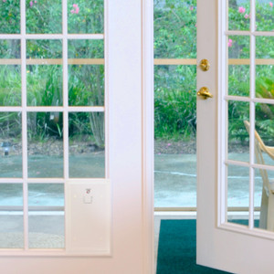 Custom Dog Doors for any application (door or wall!) Custom Dog Doors for any application (door or wall!)