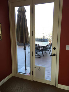 5 Signs It’s Time to Replace Your Old Pet Door