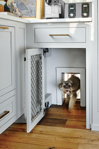 Do Pet Doors Affect Home Resale Value? What Homeowners Should Consider