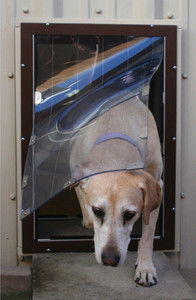 Pet Door Maintenance 101: How to Keep Your Pet Door Working Like New