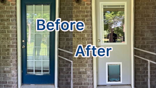 Why More Homeowners Are Installing Pet Doors During Renovation Projects