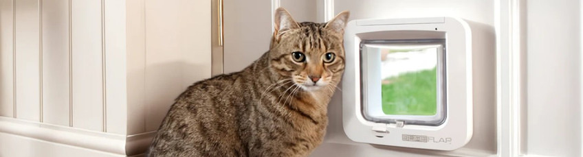 The Hidden Benefits of Giving Your Cat a Pet Door