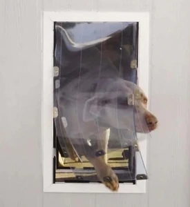 What Makes a Pet Door “Energy Efficient”?