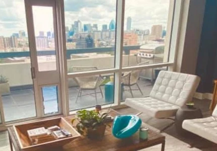 Wall vs Door vs Sliding Glass: Which Pet Door Installation Is Best?