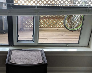 The Best Places in Your Home to Install a Pet Door