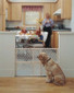 Diamond Mesh Gate Diamond Mesh Gate