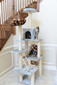78 Inch Cat Tree 78 Inch Cat Tree