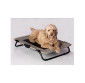 Pet Cot by Pet Gear Inc.