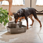 Multi-Tier Pet Fountain Multi-Tier Pet Fountain