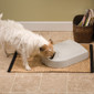 PetSafe 5-Meal Feeder PetSafe 5-Meal Feeder