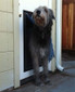 MaxSeal Door Mount Pet Door MaxSeal Door Mount Pet Door
