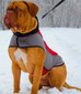 Nylon Winter Warming K9 Vest