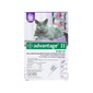 Flea Control for Cats and Kittens Over 9lbs Flea Control for Cats and Kittens Over 9lbs