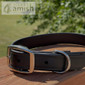 Yoder's Amish Authentic Biothane Dog Collar
