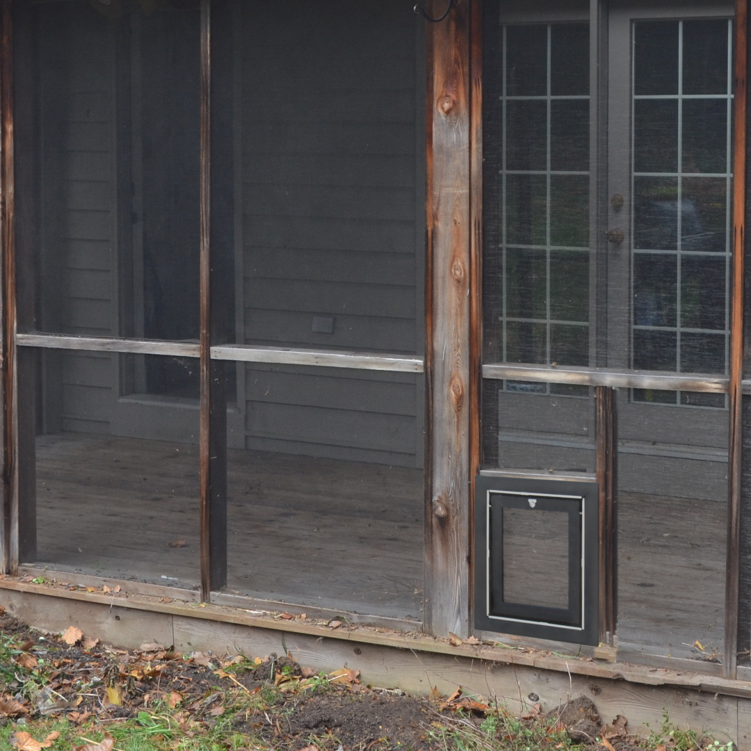 Custom Dog Doors Moore Pet Supplies