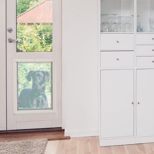 Is there a Dog Door large enough for a Great Dane?.. YES! and we have them.. Moore Pet Supplies