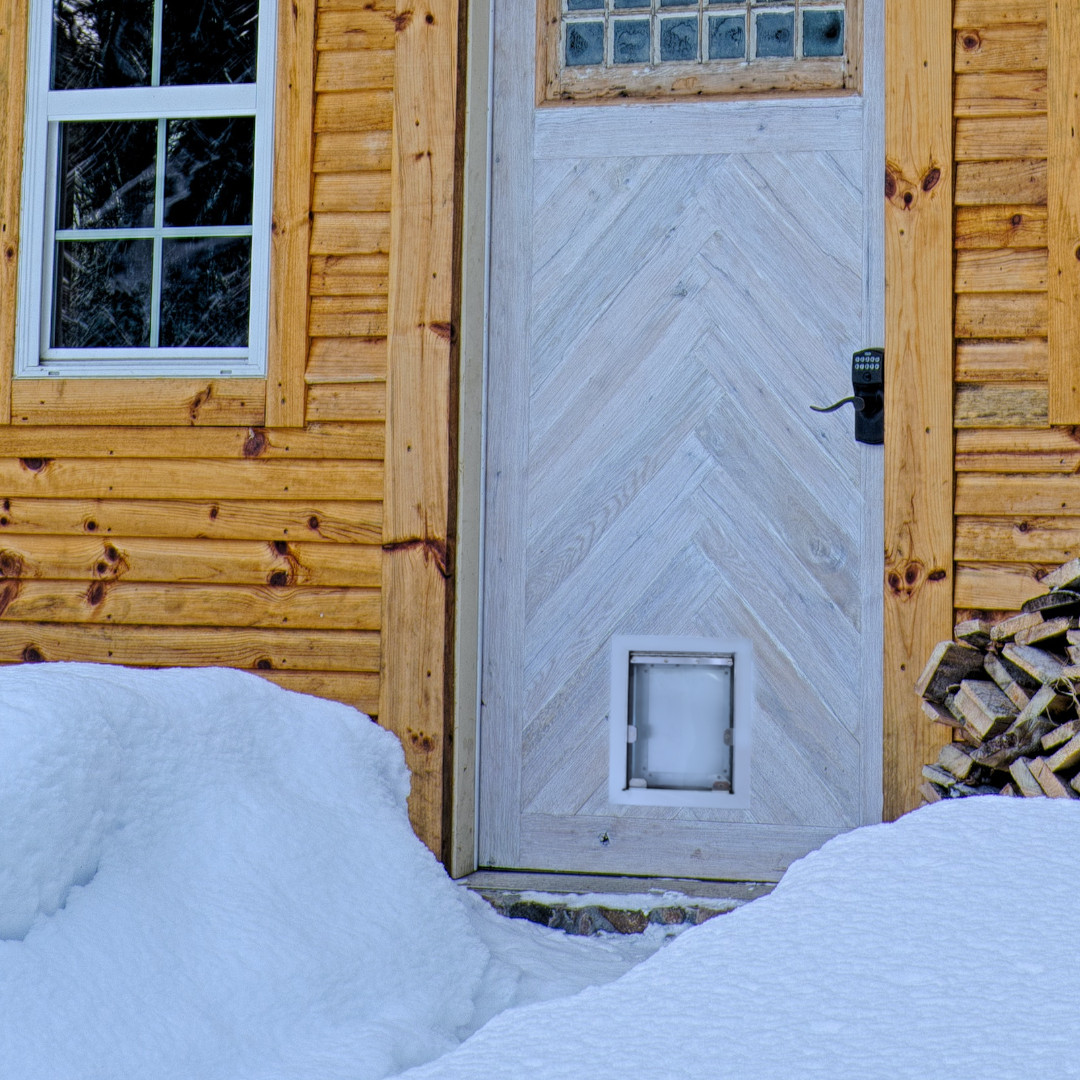 Insulated Pet Doors Moore Pet Supplies