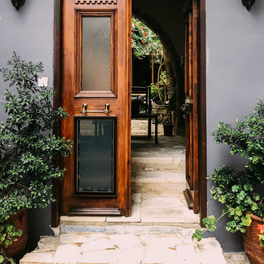 Extra Large Dog Doors for Big Dogs Moore Pet Supplies