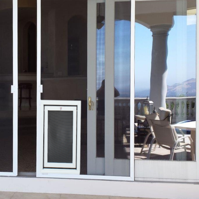 Screen Dog Doors for Large Dogs Moore Pet Supplies