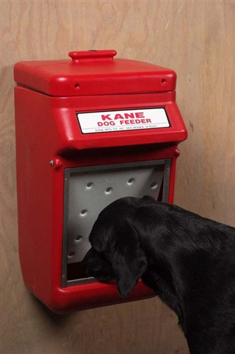 automatic dog feeder for big dogs