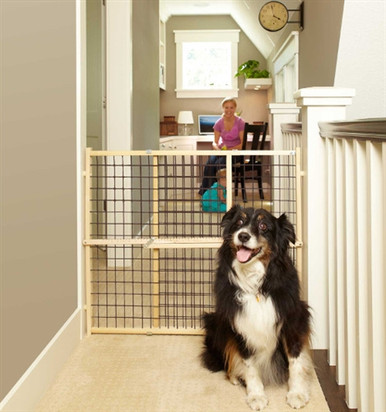 windsor arch pet gate