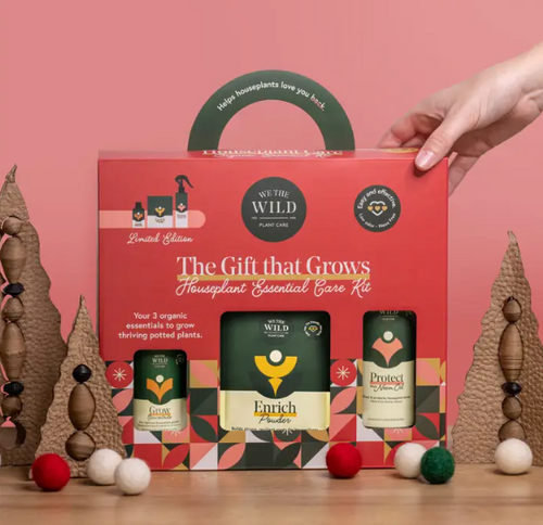 We The Wild Xmas Kit