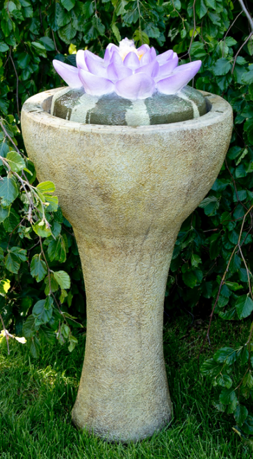 Tall Lotus Ftn RH