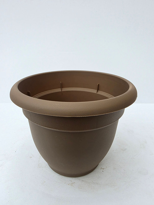 10in Ariana Pltr Chocolate