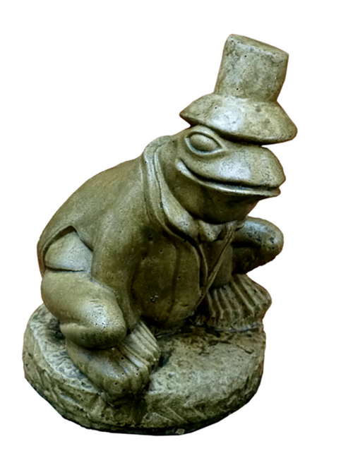 Party Time Frog MG