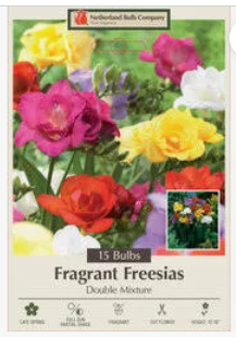 Freesia Bulb 'Double Mix'
