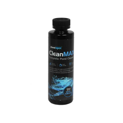 Cleanmax for Statues